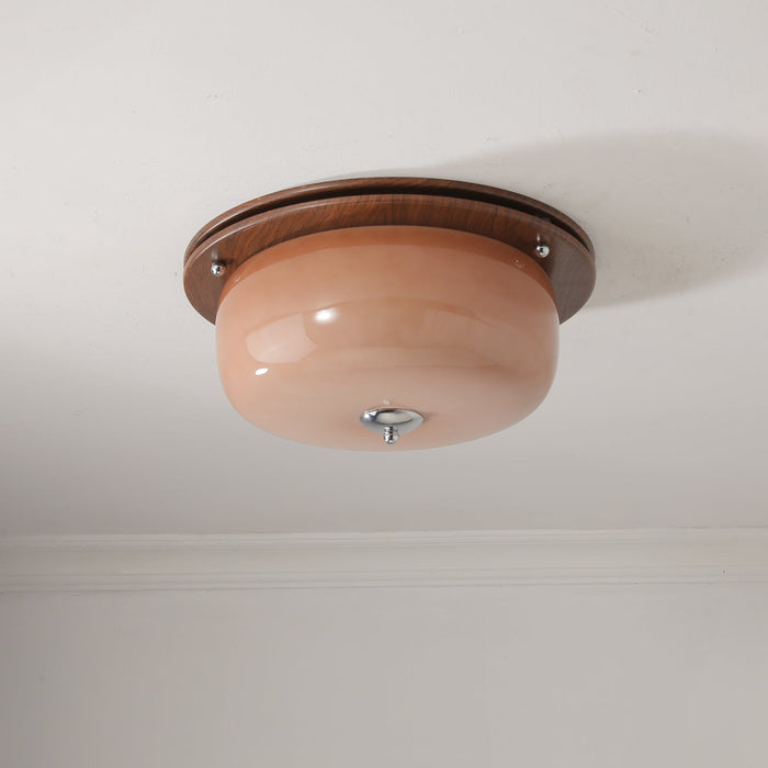 Glass Dome Ceiling Light-DWHOME