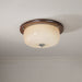 Glass Dome Ceiling Light-DWHOME