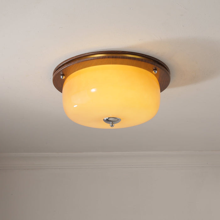 Glass Dome Ceiling Light-DWHOME