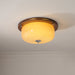 Glass Dome Ceiling Light-DWHOME