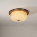 Glass Dome Ceiling Light-DWHOME