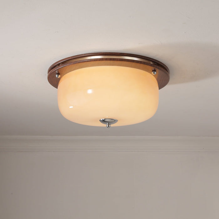 Glass Dome Ceiling Light-DWHOME