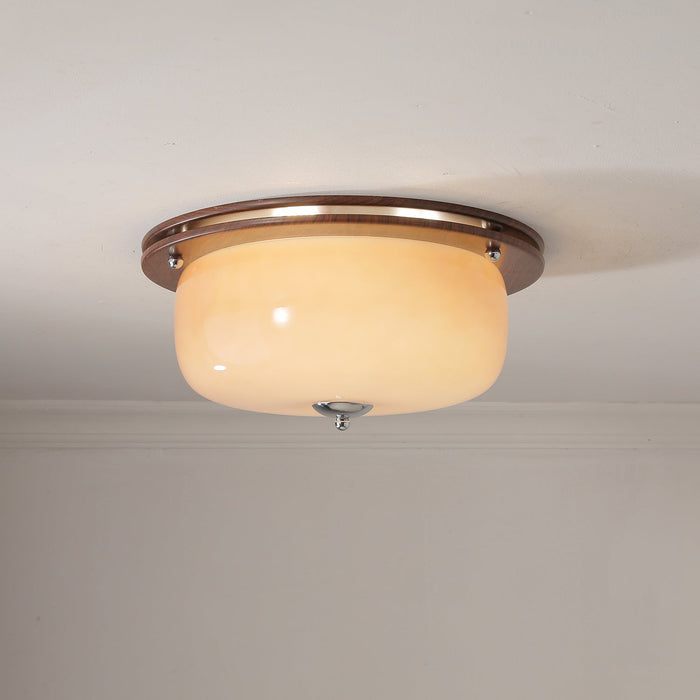 Glass Dome Ceiling Light-DWHOME