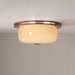 Glass Dome Ceiling Light-DWHOME