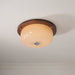 Glass Dome Ceiling Light-DWHOME