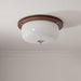 Glass Dome Ceiling Light-DWHOME