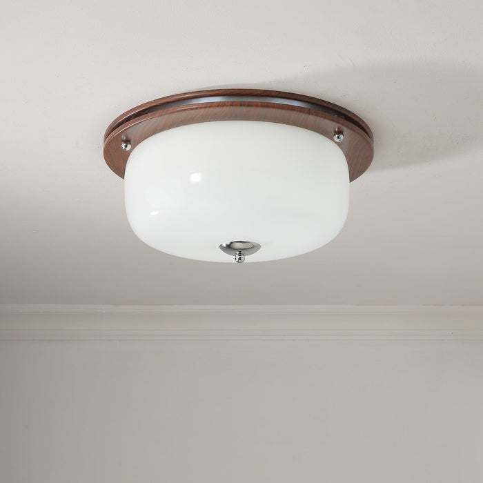 Glass Dome Ceiling Light-DWHOME