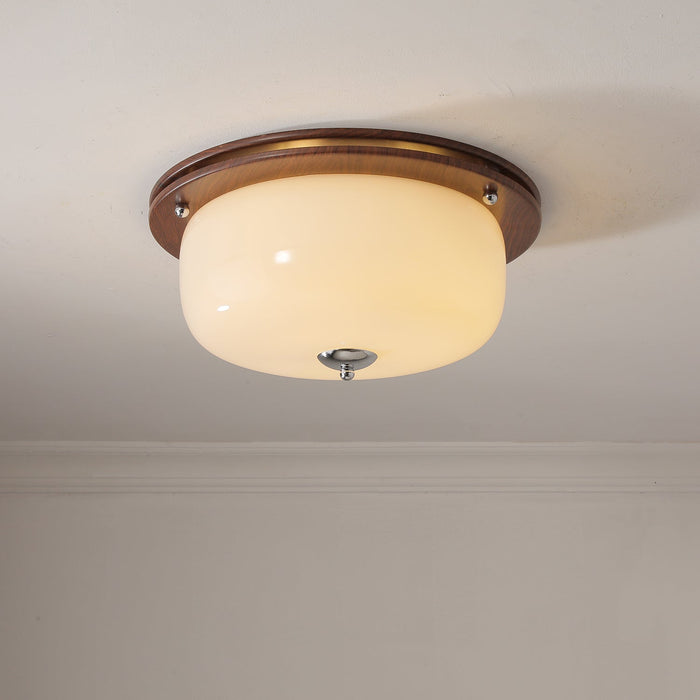 Glass Dome Ceiling Light-DWHOME