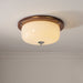 Glass Dome Ceiling Light-DWHOME