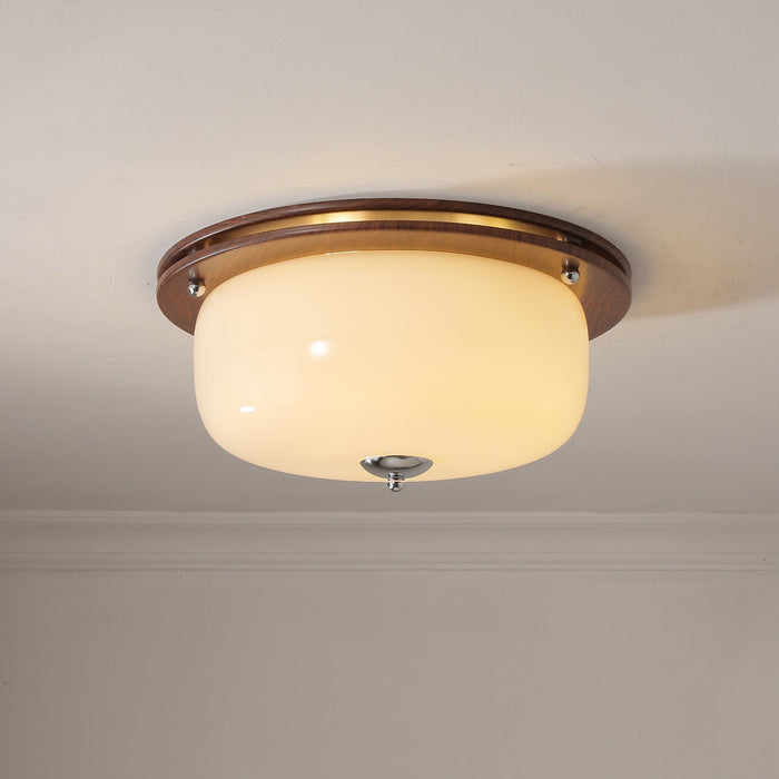 Glass Dome Ceiling Light-DWHOME