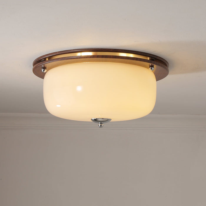 Glass Dome Ceiling Light-DWHOME