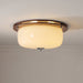 Glass Dome Ceiling Light-DWHOME