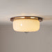 Glass Dome Ceiling Light-DWHOME