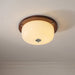 Glass Dome Ceiling Light-DWHOME