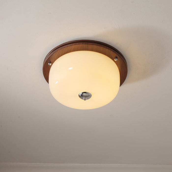 Glass Dome Ceiling Light-DWHOME