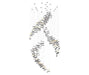 Glass Feathers Chandelier - DWHOME