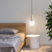 Glass Globe Ball Pendant Light-DWHOME