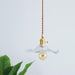 Glass Hibiscus Flower Swag Light-DWHOME