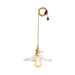 Glass Hibiscus Flower Swag Light-DWHOME
