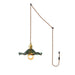 Glass Hibiscus Flower Swag Light-DWHOME