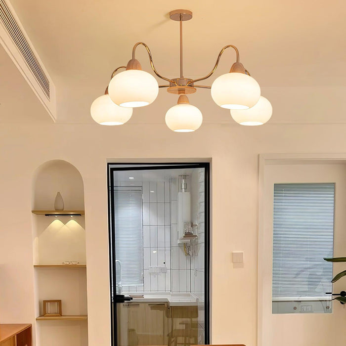 Glass Persimmon Chandelier - DWHOME