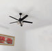 Black Vintage Ceiling Fan - DWHOME