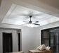 Black Vintage Ceiling Fan - DWHOME