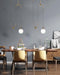 Glass Ball Pendant Lamp-DWHOME