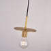 Gleam Brass Pendant Light-DWHOME