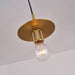 Gleam Brass Pendant Light-DWHOME