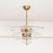 Petals Gold Murano Chandelier-DWHOME