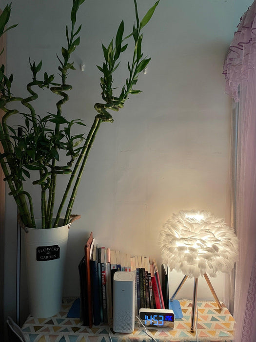 "Lampe de table en plumes d'oie - DWHOME"