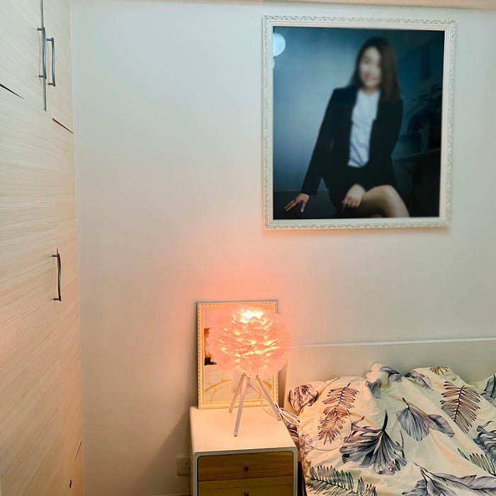 "Lampe de table en plumes d'oie - DWHOME"