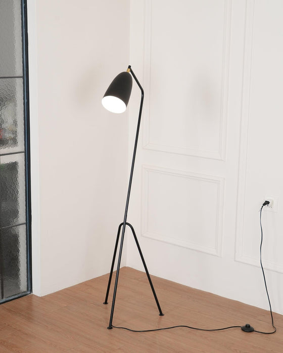 Grasshopper Floor Lamp-DWHOME