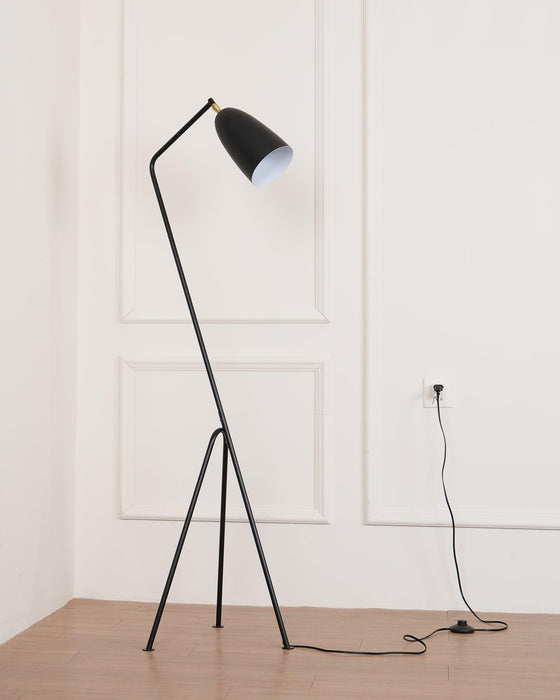 Grasshopper Floor Lamp-DWHOME