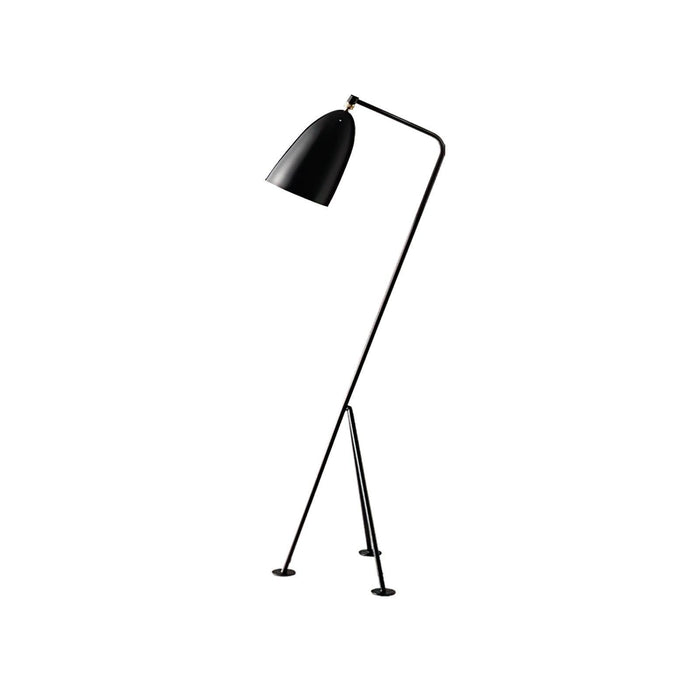 Grasshopper Floor Lamp-DWHOME