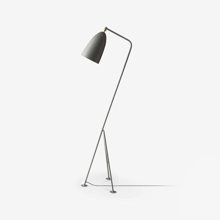 Grasshopper Floor Lamp-DWHOME