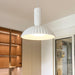 Resin Apollo Pendant Light-DWHOME