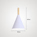 Modern Style Color Cone Ceiling Light - DWHOME