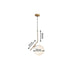 Modern Style Light Bearer Pendant Light - DWHOME