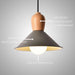Retro Design Modern Colored Ceiling Light N READY - DWHOME