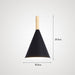 Modern Style Color Cone Ceiling Light - DWHOME