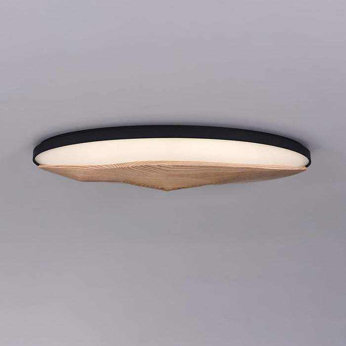Half-Mountain Ceiling Lamp-DWHOME