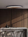 Half-Mountain Ceiling Lamp-DWHOME