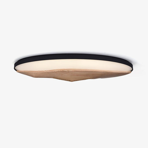 Half-Mountain Ceiling Lamp-DWHOME