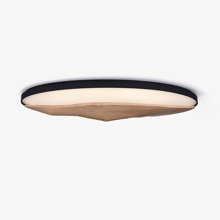 Half-Mountain Ceiling Lamp-DWHOME
