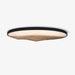 Half-Mountain Ceiling Lamp-DWHOME