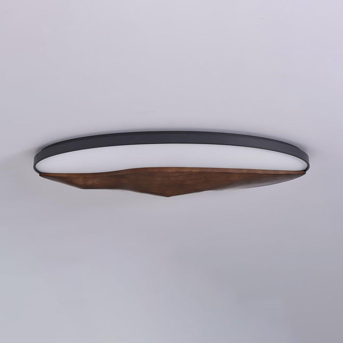 Half-Mountain Ceiling Lamp-DWHOME
