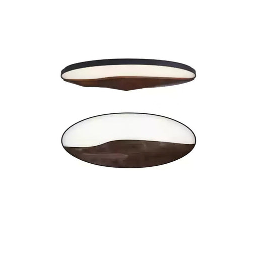 Half-Mountain Ceiling Lamp-DWHOME