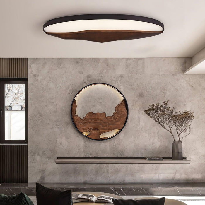 Half-Mountain Ceiling Lamp-DWHOME
